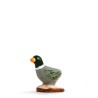 Canard